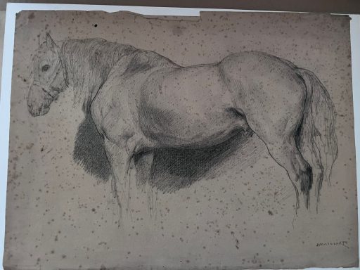 Dessin d'un cheval vu de profil, aux contours détaillés et ombres accentuées.